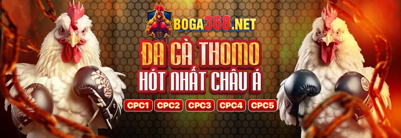 Blog của raybet chính thức - Nền tảng cá cược hàng đầu